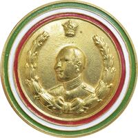 نشان سوزنی دو و راهپیمایی یادبود رضا شاه - AU - محمد رضا شاه