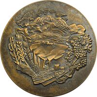 مدال یادبود 60 سال منطقه خودمختار - EF - روسیه