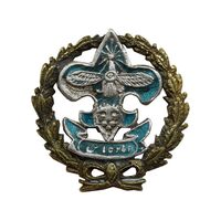 نشان سوزنی پیش آهنگی - آماده باش - EF - محمد رضا شاه