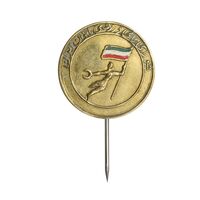 نشان سوزنی شورای ورزشی بانوان ایران - EF - محمد رضا شاه