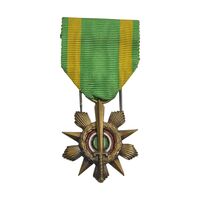 مدال زخم 1953 - AU - سوریه
