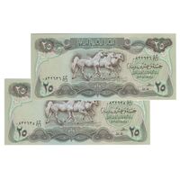 اسکناس 25 دینار 1982 جمهوری - جفت - UNC63 - عراق
