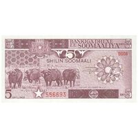اسکناس 5 شیلینگ 1983 جمهوری دموکراتیک - تک - UNC65 - سومالی