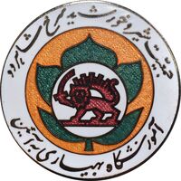 نشان آموزشگاه بهیاری به آئین - جمعیت شیر و خورشید سرخ شاهرود - UNC - محمد رضا شاه