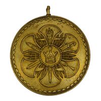 مدال پاس درجه 3 - UNC - محمد رضا شاه