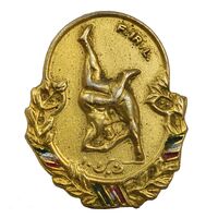 نشان سوزنی اهدایی فدراسیون کشتی - طلایی - EF - محمد رضا شاه