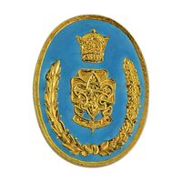 نشان سوزنی پیش آهنگی (آماده باش) - UNC - محمد رضا شاه