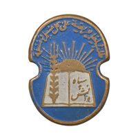 نشان سوزنی سپاه دانش (شب) - EF - محمد رضا شاه