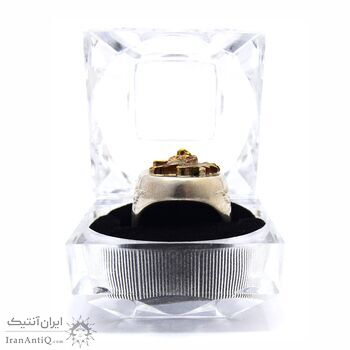 انگشتر نقره مردانه طرح شیر و خورشید - سایز 11/5 انگشتر نقره مردانه طرح شیر و خورشید - سایز 11/5