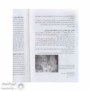کتاب هنر نقاشی ایران از آغاز تا اسلام