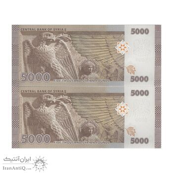 اسکناس 5000 لیره 2019 جمهوری عربی - جفت - UNC63 - سوریه