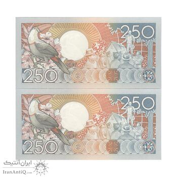 اسکناس 250 گلدن 1988 جمهوری - جفت - UNC63 - سورینام