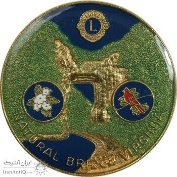 نشان یا سنجاق سینه باشگاه لاینز 1973 - AU - ایالات متحده آمریکا