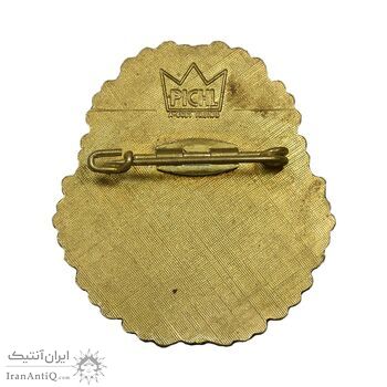 نشان هنگ تفنگداران زیلرتال شهر مایرهوفن 1992 - AU - اتریش