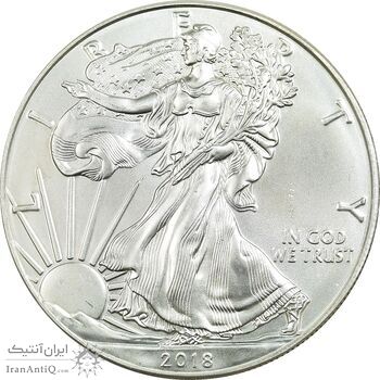 مدال یادبود 1 دلار 2018 عقاب - MS67 - آمریکا