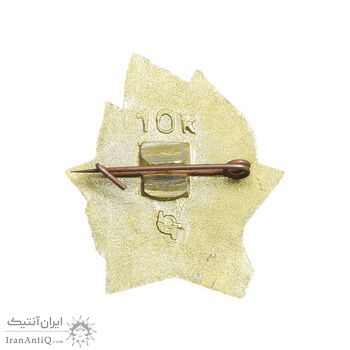 نشان یادبود لنین - AU - روسیه