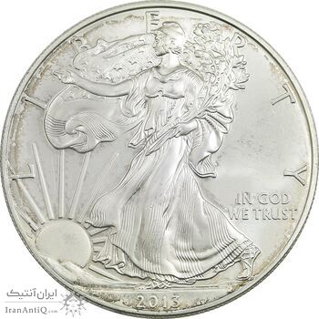 مدال یادبود 1 دلار 2013 عقاب - MS63 - آمریکا