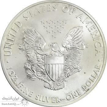 مدال یادبود 1 دلار 2013 عقاب - MS63 - آمریکا