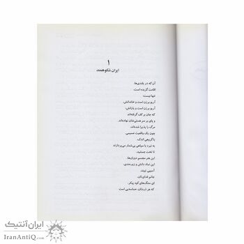 کتاب آریوبرزن