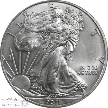 مدال یادبود 1 دلار 2011 عقاب - MS63 - آمریکا