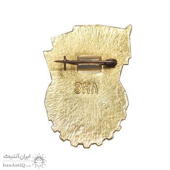 نشان ورزشی آماده برای کار و دفاع شوروی - GTO II - AU - روسیه