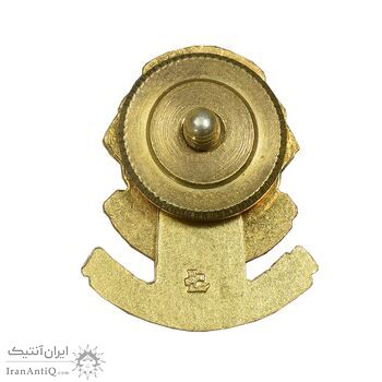 نشان باشگاه بین المللی لاینز - عضو منشور - رئیس منطقه - AU - ایالات متحده آمریکا نشان باشگاه بین المللی لاینز - عضو منشور - رئیس منطقه - AU - ایالات متحده آمریکا