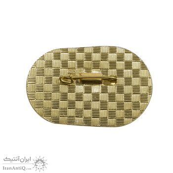 نشان ششمین کنگره Paleo botanical مسکو 1973 - UNC - روسیه