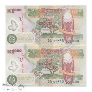 اسکناس 1000 کواچا 2009 جمهوری - جفت - UNC66 - زامبیا