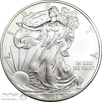 مدال یادبود 1 دلار 2009 عقاب - PF63 - آمریکا مدال یادبود 1 دلار 2009 عقاب - PF63 - آمریکا