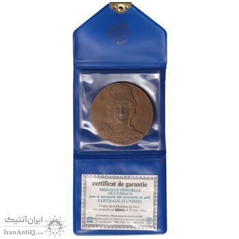 مدال برنز یونسکو برای حفاظت از بناهای تاریخی در معرض خطر - متفاوت - UNC - فرانسه