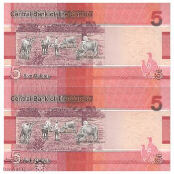 اسکناس 5 دالاسی 2023 جمهوری - جفت - UNC64 - گامبیا