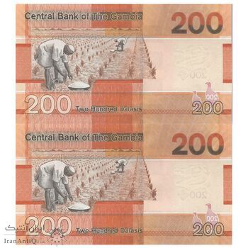 اسکناس 200 دالاسی 2023 جمهوری - جفت - UNC63 - گامبیا