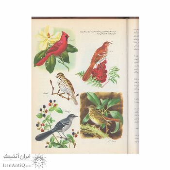 فرهنگنامه جلد 5 (پاگودا تا تکامل)