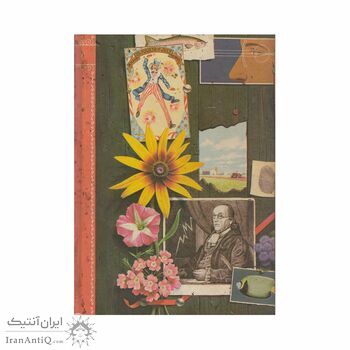 فرهنگنامه جلد 6 (تگزاس تا چوببری)