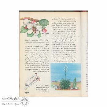 فرهنگنامه جلد 16 (هادس تا یهود، قوم)