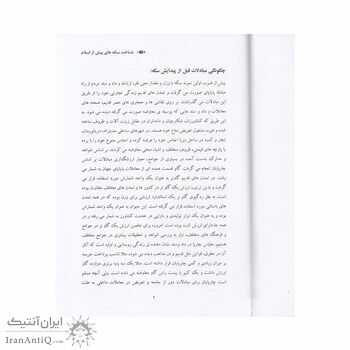 کتاب شناخت سکه های پیش از اسلام از هخامنشی تا ساسانی