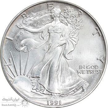 مدال یادبود 1 دلار 1991 عقاب - MS64 - آمریکا
