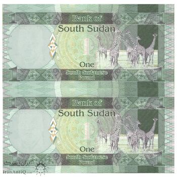 اسکناس 1 پوند بدون تاریخ (2011) جمهوری - جفت - UNC64 - سودان جنوبی
