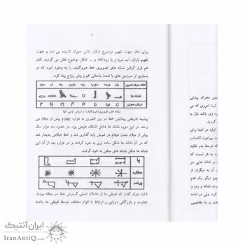 کتاب تاریخچه پیدایش خط، اعداد