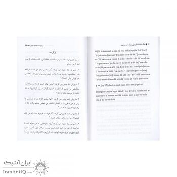 کتاب سنگ نبشته داریوش بزرگ در بیستون