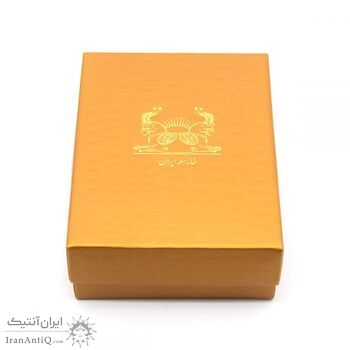 مدال طلا یادبود پنجمین حضور ایران در جام جهانی فوتبال - 5 گرمی