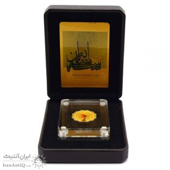 مدال طلا یادبود پنجمین حضور ایران در جام جهانی فوتبال - 5 گرمی