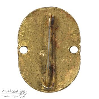 نشان سپاه بهداشت (شب) - EF - محمد رضا شاه